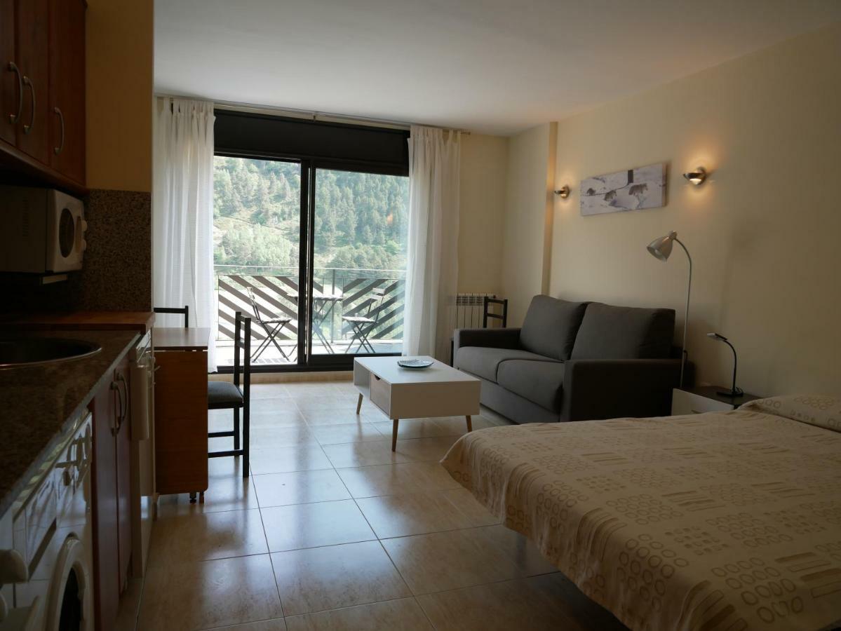 Genciana-vacances Pirinenca Apartament